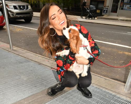 Bianca Peters enjoys with her dog Out and About in New York 2020/11/25 3