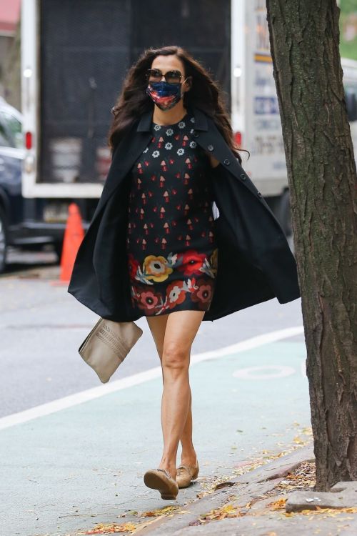 Famke Janssen flashes legs in a Floral Mini Dress Out in New York 2020/10/22 4