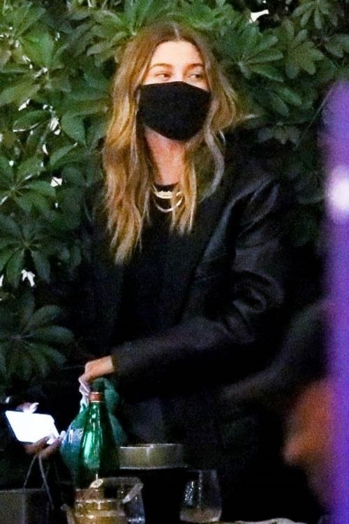 Hailey Rhode Bieber Out for Dinner with Friends in Beverly Hills 2020/11/16 4