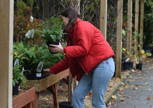 Imogen Thomas Buying Plants at a Garden Centre in London 2020/11/17 2