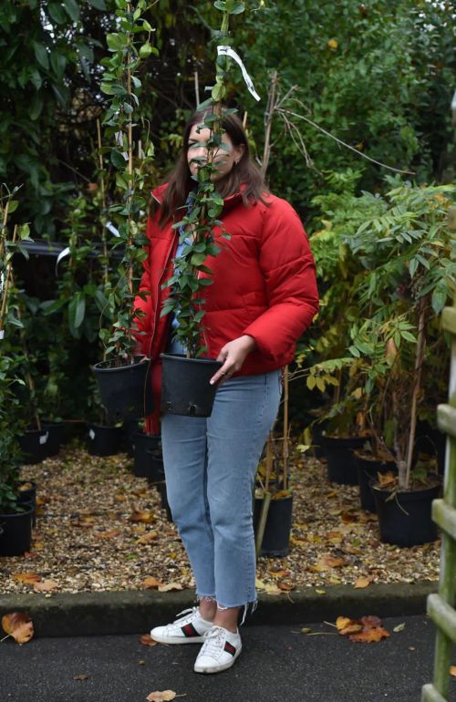 Imogen Thomas Buying Plants at a Garden Centre in London 2020/11/17 5