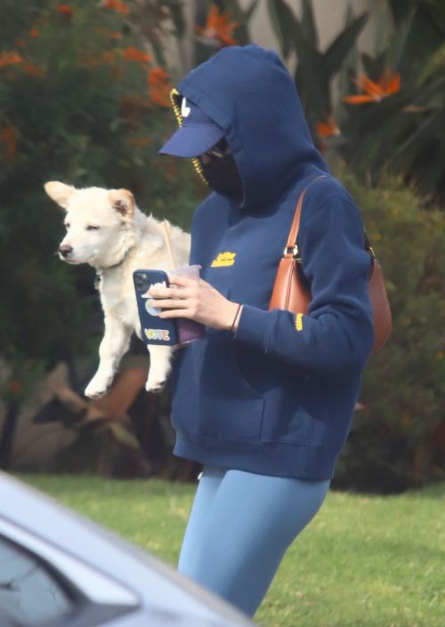 Kaia Jordan Gerber Out with her Dog in West Hollywood 2020/11/23 3