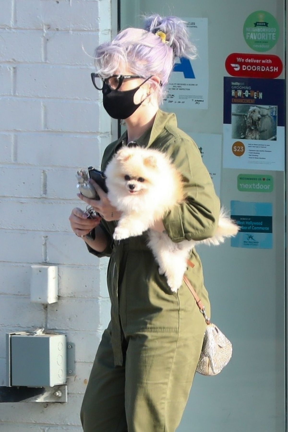 Kelly Osbourne Picks Up her Dog from Groomer in Los Angeles 2020/10/22