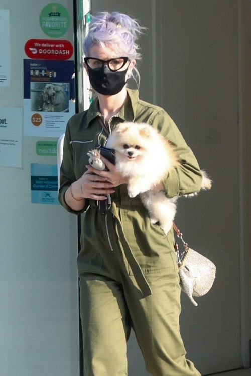 Kelly Osbourne Picks Up her Dog from Groomer in Los Angeles 2020/10/22 2