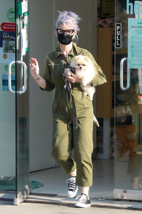 Kelly Osbourne Picks Up her Dog from Groomer in Los Angeles 2020/10/22 3