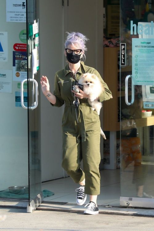 Kelly Osbourne Picks Up her Dog from Groomer in Los Angeles 2020/10/22 7