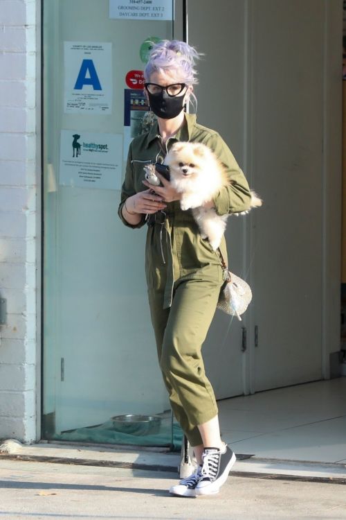 Kelly Osbourne Picks Up her Dog from Groomer in Los Angeles 2020/10/22