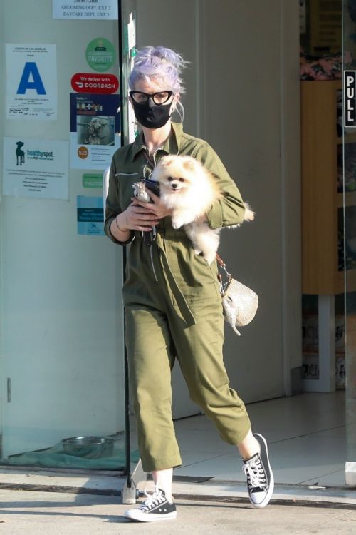 Kelly Osbourne Picks Up her Dog from Groomer in Los Angeles 2020/10/22 2