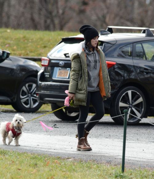Lucy Hale Out with Her Dog in New York 2020/11/26 3