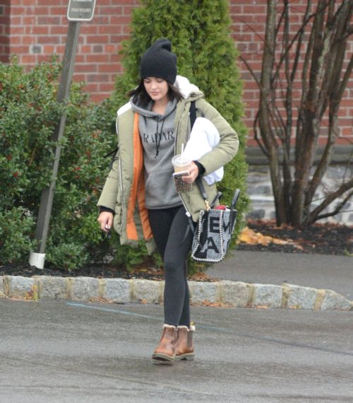 Lucy Hale Out with Her Dog in New York 2020/11/26 6