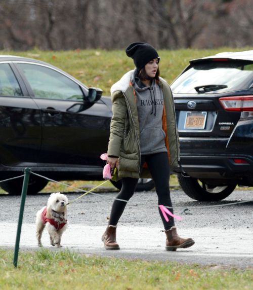 Lucy Hale Out with Her Dog in New York 2020/11/26 7