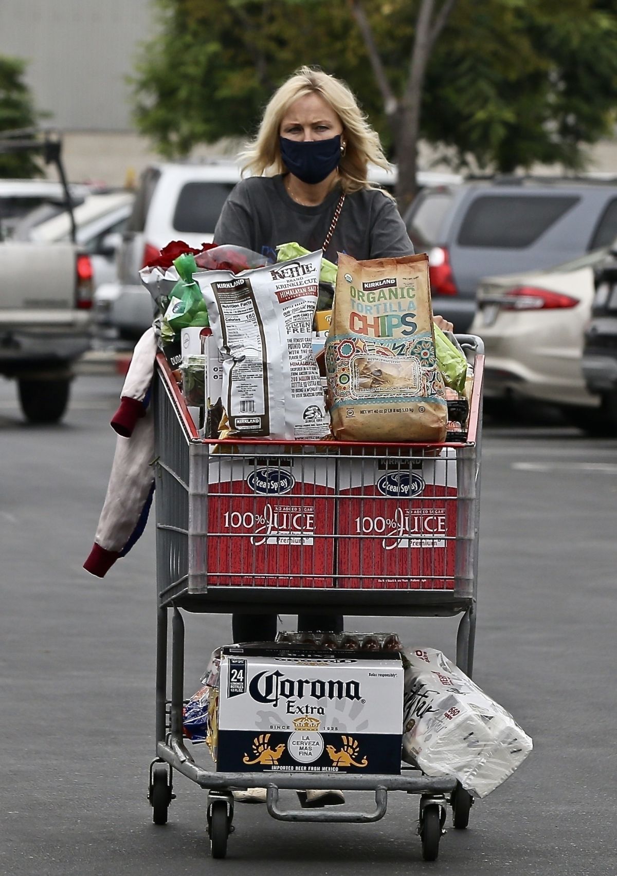 Malin Akerman Shopping at Costco in Los Angeles 2020/10/22