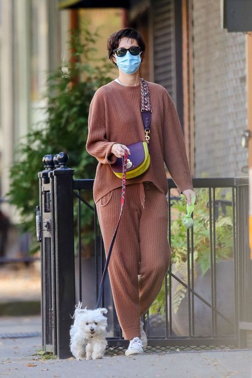 Mary Elizabeth Winstead Out with Her Dog in New York 2020/11/16