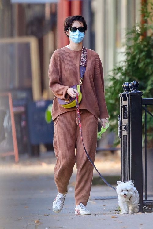Mary Elizabeth Winstead Out with Her Dog in New York 2020/11/16