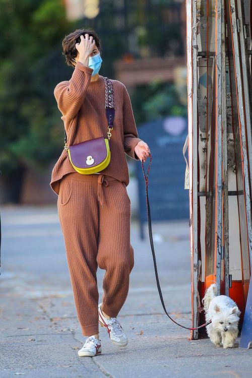 Mary Elizabeth Winstead Out with Her Dog in New York 2020/11/16 2