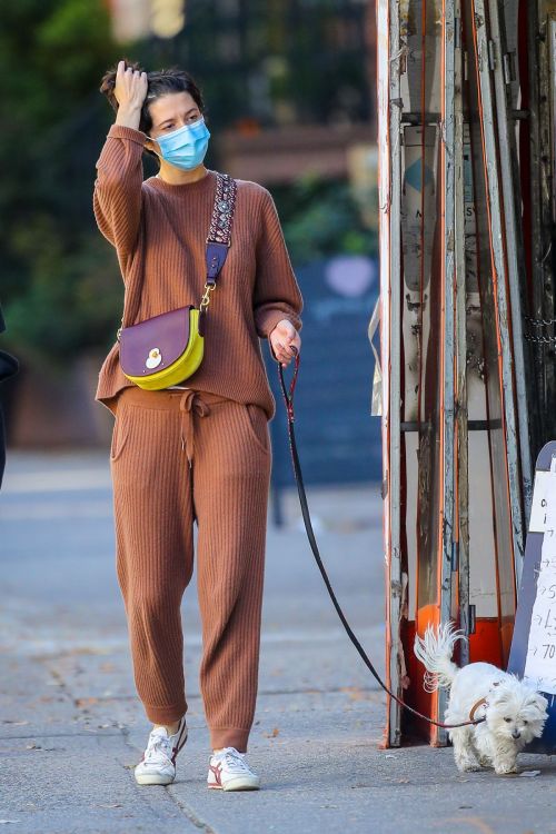 Mary Elizabeth Winstead Out with Her Dog in New York 2020/11/16 3