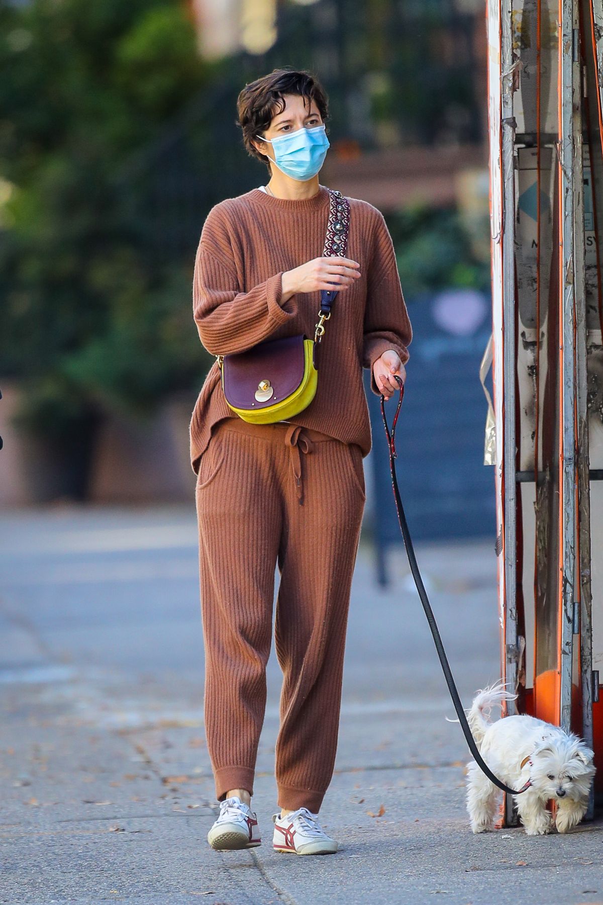 Mary Elizabeth Winstead Out with Her Dog in New York 2020/11/16