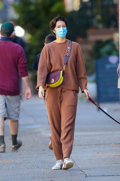 Mary Elizabeth Winstead Out with Her Dog in New York 2020/11/16 5