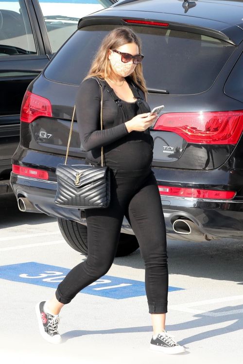 Pregnant April Love Geary Arrives at Doctor's Office in Santa Monica 2020/11/23