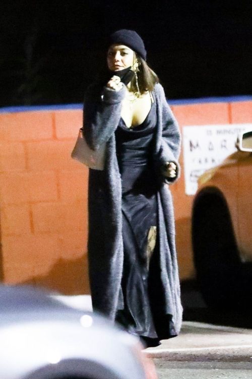 Vanessa Hudgens and Cole Tucker Out for Dinner in Los Angeles 2020/11/22 7
