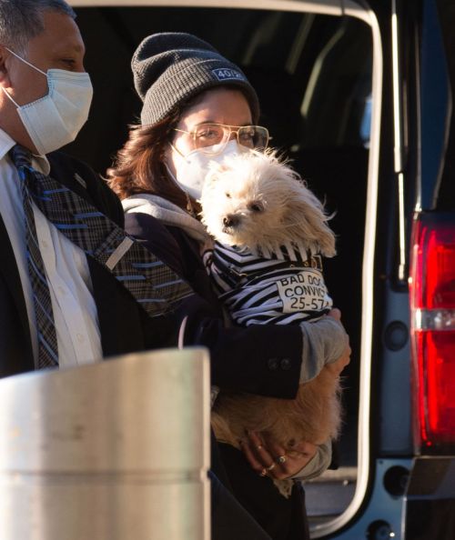 Vanessa Hudgens with Her Dog at JFK Airport in New York 2020/11/16 2