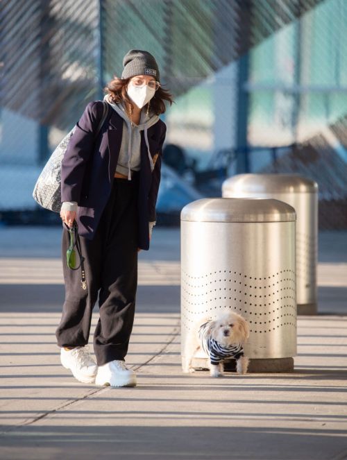 Vanessa Hudgens with Her Dog at JFK Airport in New York 2020/11/16