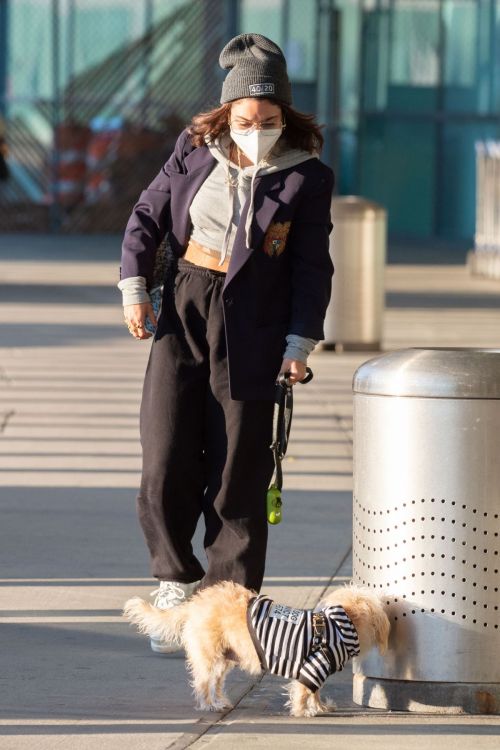 Vanessa Hudgens with Her Dog at JFK Airport in New York 2020/11/16 5