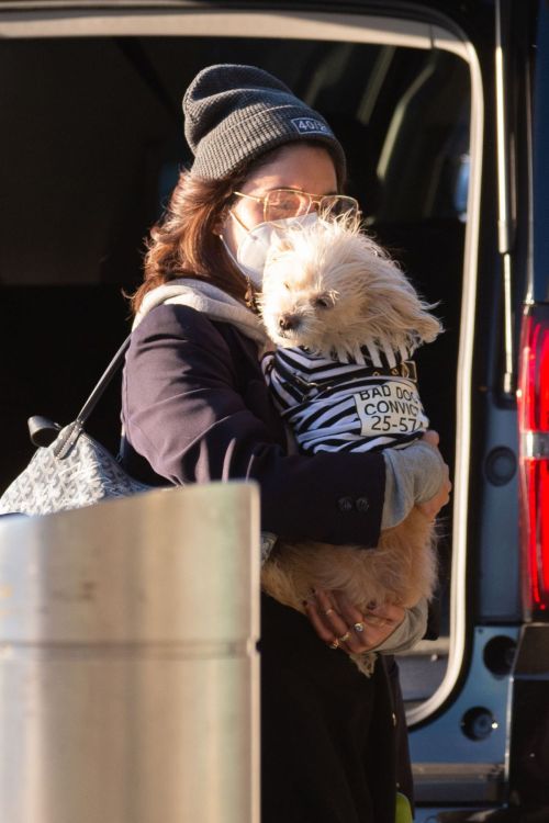 Vanessa Hudgens with Her Dog at JFK Airport in New York 2020/11/16