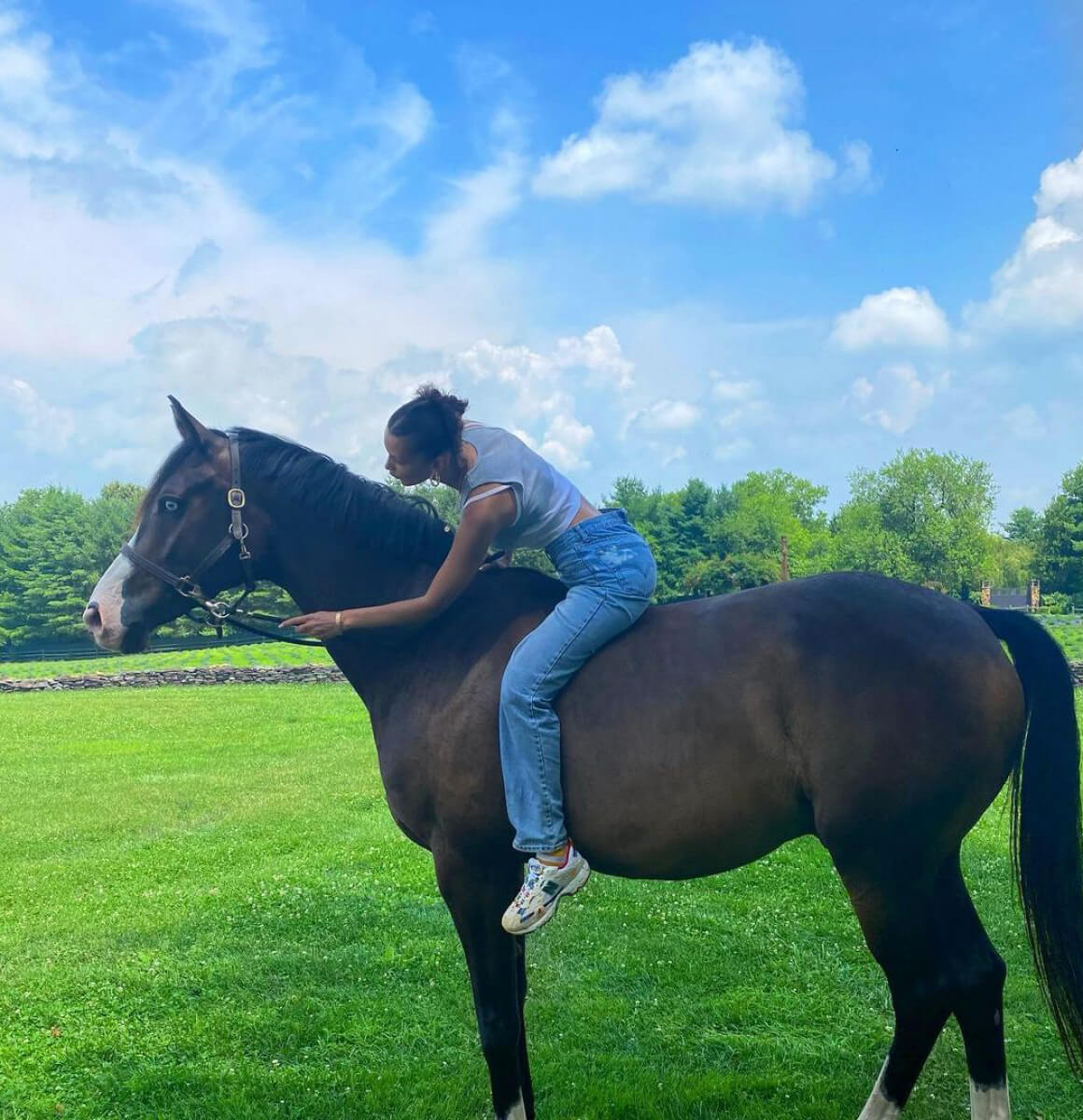 Bella Hadid Riding a Horse - Instagram Photos 12/01/2020