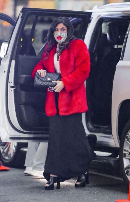 Bethenny Frankel Out and About in New York 12/01/2020 2