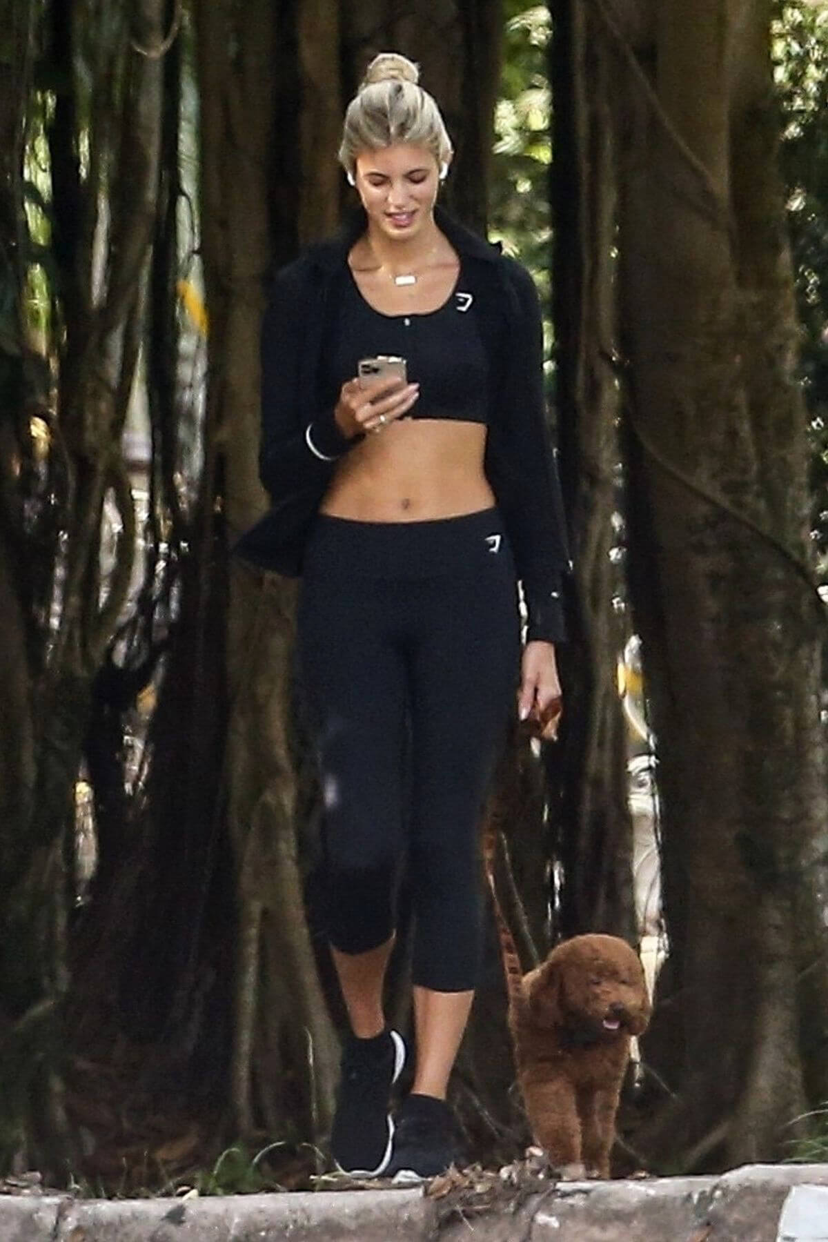 Devon Windsor flashes her abs Out with her Dog in Miami 11/24/2020