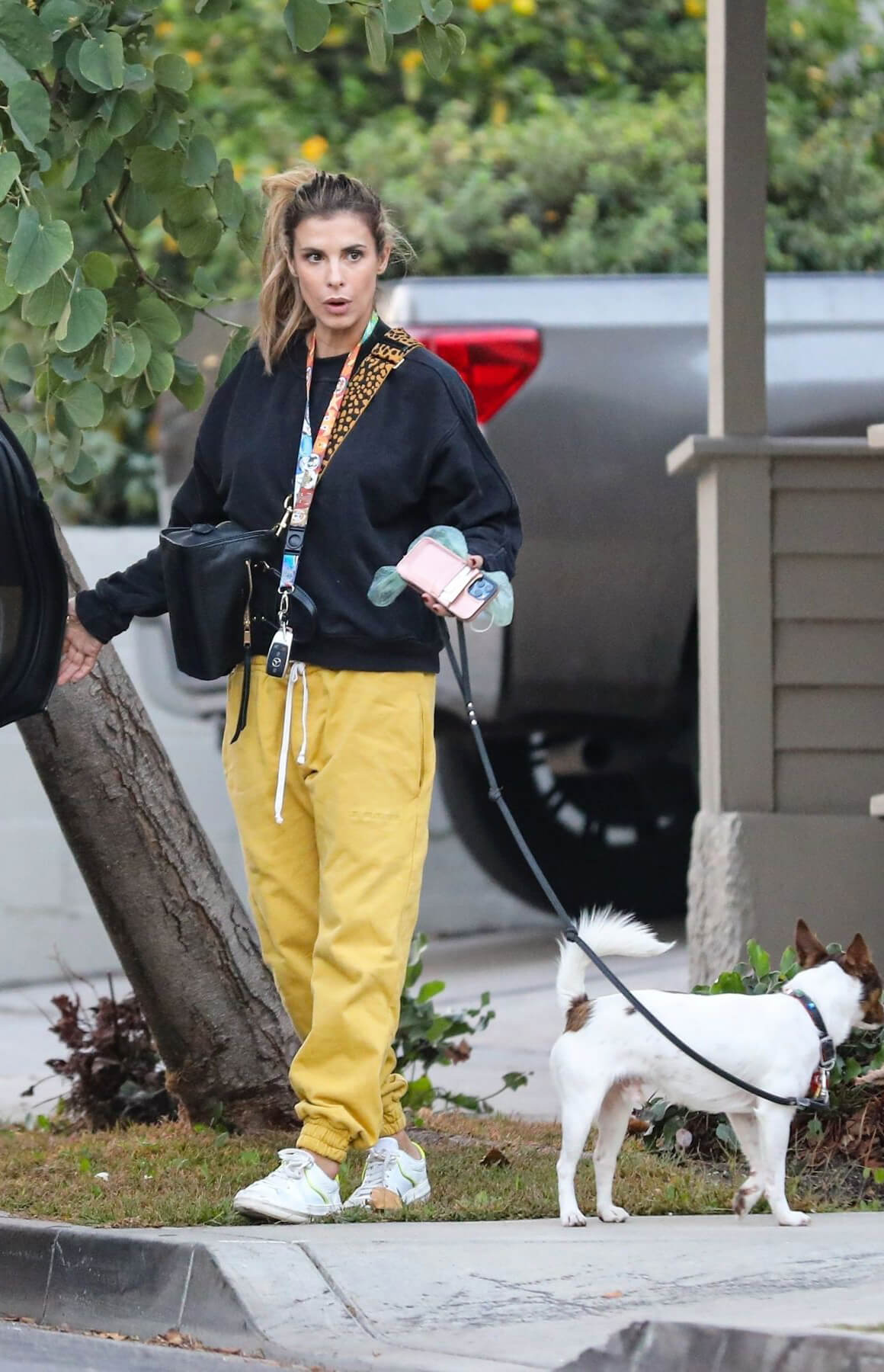 Elisabetta Canalis walks with Her Dog in Los Angeles 12/02/2020