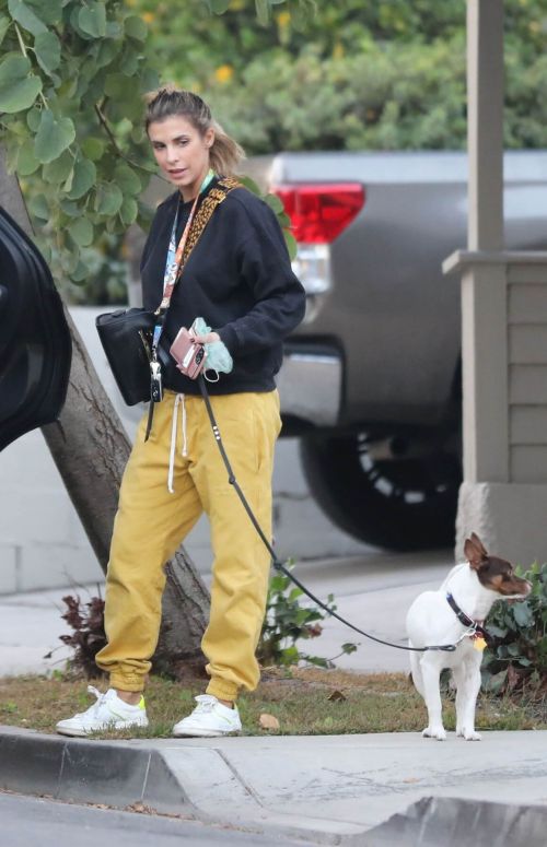 Elisabetta Canalis walks with Her Dog in Los Angeles 12/02/2020 1
