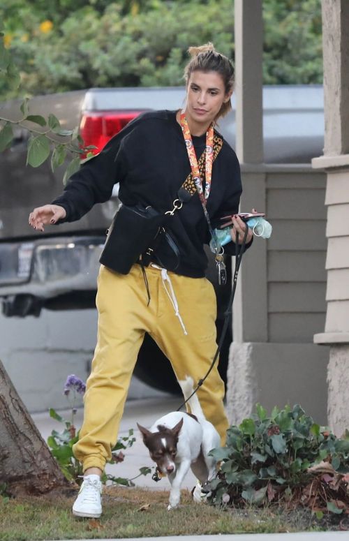 Elisabetta Canalis walks with Her Dog in Los Angeles 12/02/2020 4