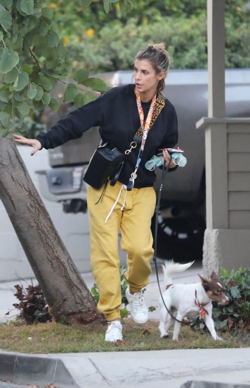 Elisabetta Canalis walks with Her Dog in Los Angeles 12/02/2020 3