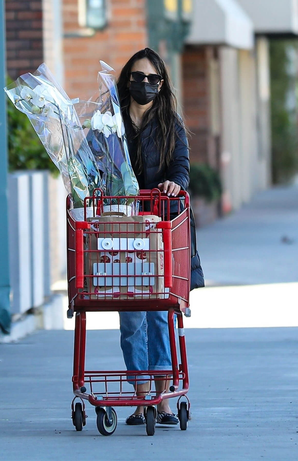 Jordana Brewster Out for Shopping at Trader Joe's in Santa Monica 12/04/2020