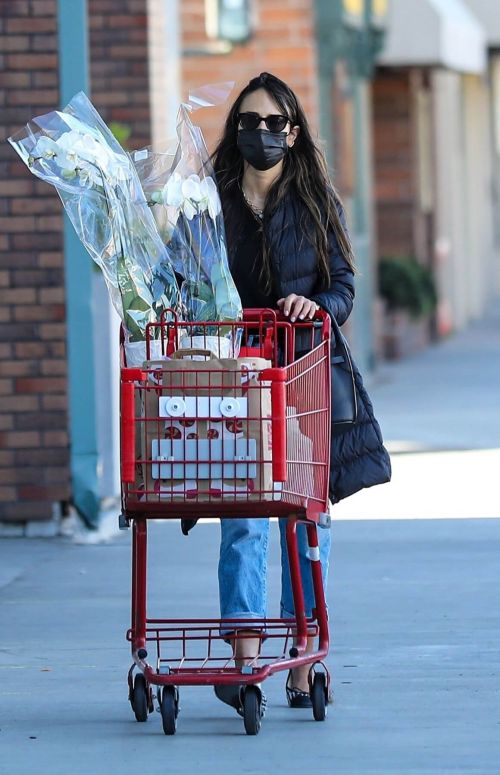 Jordana Brewster Out for Shopping at Trader Joe