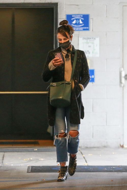 Jordana Brewster seen in Ripped Jeans Leaves a Vet Clinic in Westwood 11/25/2020 6