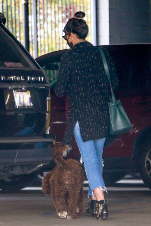 Jordana Brewster seen in Ripped Jeans Leaves a Vet Clinic in Westwood 11/25/2020 8