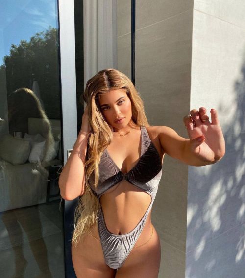 Kylie Jenner in Velvet Bikini Instagram Photos 11/24/2020