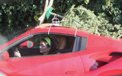 Vanessa Hudgens and GG Magree Shopping for a Christmas Tree in Los Angeles 12/05/2020 3