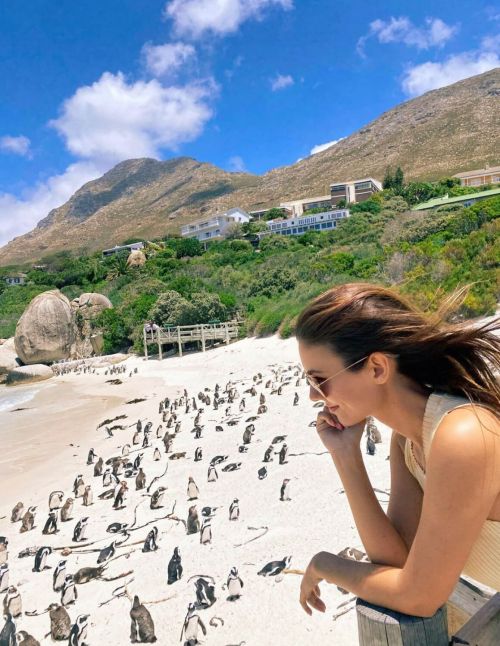 Victoria Justice Penguin Boulders Beach in South Africa 12/05/2020 1