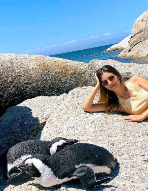 Victoria Justice Penguin Boulders Beach in South Africa 12/05/2020