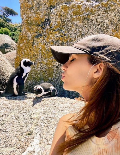 Victoria Justice Penguin Boulders Beach in South Africa 12/05/2020 3