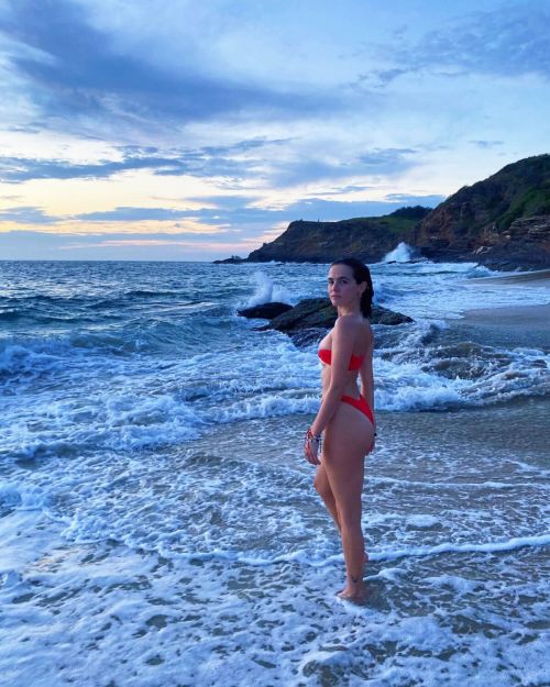 Zoey Deutch in Bikini at a Beach - Instagram Photos 11/25/2020 3