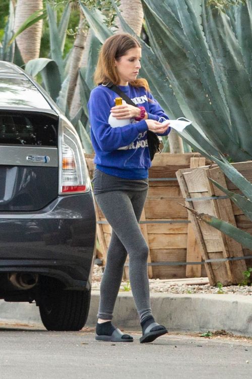 Anna Kendrick in Tights Outside a Friend