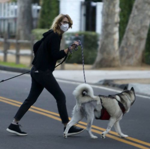 Laura Dern Out with Her Dogs on Her Birthday in Los Angeles 02/10/2021