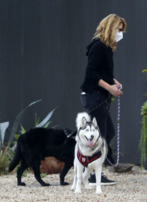Laura Dern Out with Her Dogs on Her Birthday in Los Angeles 02/10/2021 1