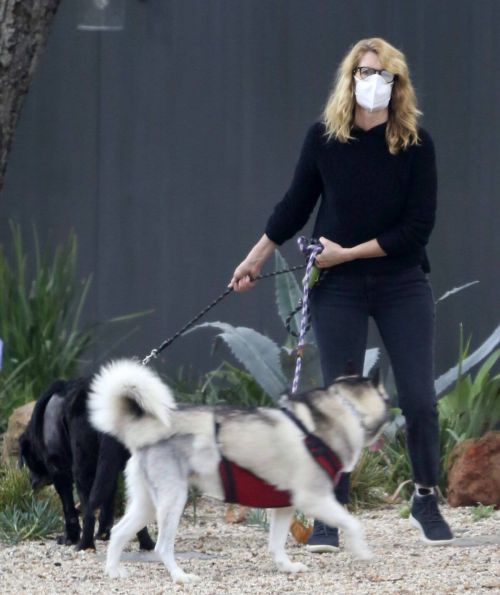 Laura Dern Out with Her Dogs on Her Birthday in Los Angeles 02/10/2021 2
