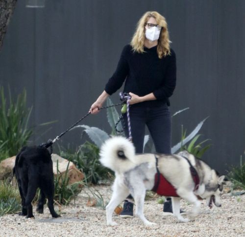 Laura Dern Out with Her Dogs on Her Birthday in Los Angeles 02/10/2021 3